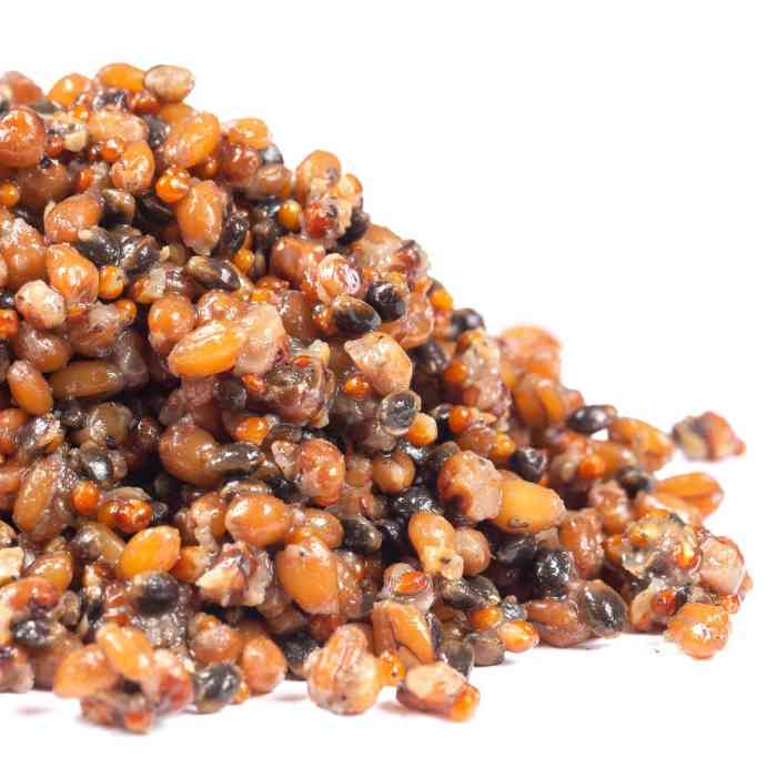 Зерновая смесь MINENKO Bird Food Spicy (4кг)