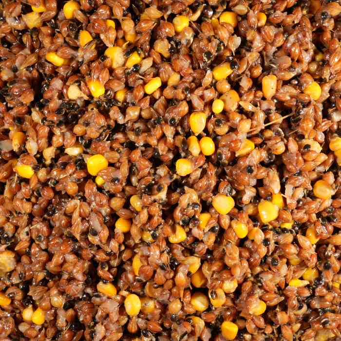 Зерновая смесь MINENKO Wild Wheat Spicy Plum (1кг) Дикая пшеница Пряная слива