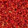 Купить Зерновая смесь MINENKO Red Strawberry Wheat (4кг)