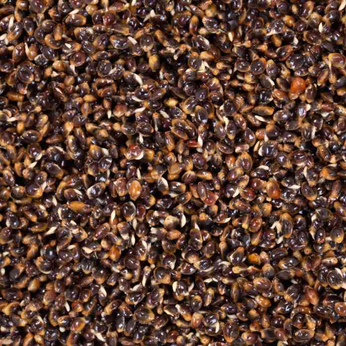 Зерновая смесь MINENKO Hemp Natural (1кг)